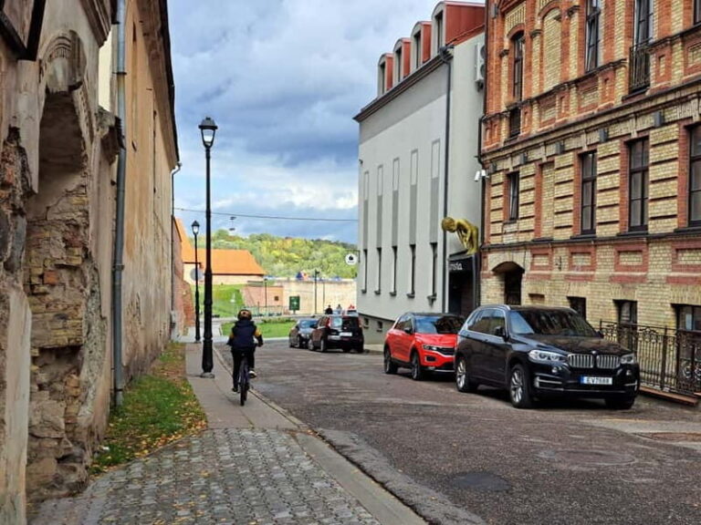 Vilnius: Walking Tour with a Local Guide - Small groups - What to Expect from the Tour