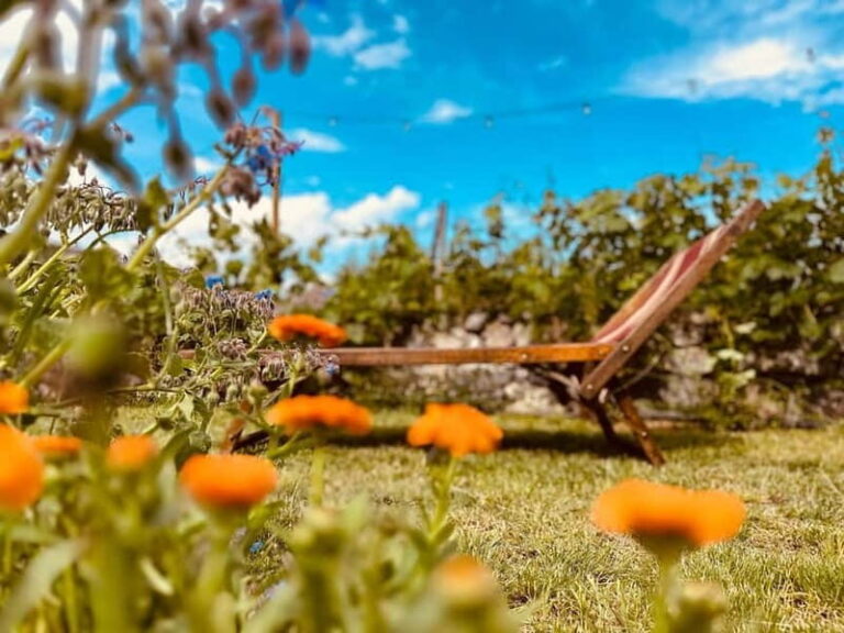 Vineyard Tour and Wine Tasting - The Itinerary: What to Expect Step-by-Step