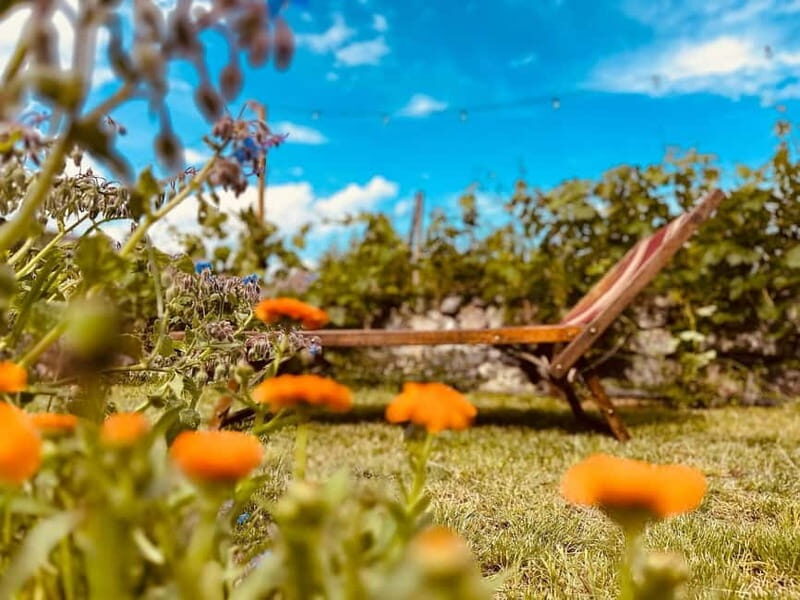 Vineyard Tour and Wine Tasting - The Itinerary: What to Expect Step-by-Step