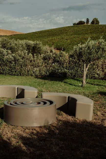 Vineyard Walk and Tasting - What to Expect During the Tour