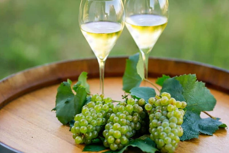 VIP Experience to Lake Iseo and Franciacorta Wine Tasting - Who Is This Tour Best For?