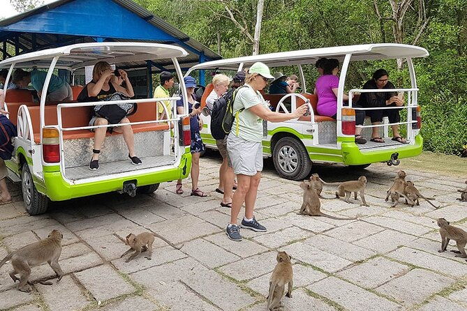 VIP Tour to Can Gio Mangrove Forest by Speed Boat - Key Points