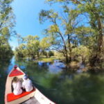 Virpazar: Amazon wilderness speed boat cruise - What Makes This Tour Stand Out?