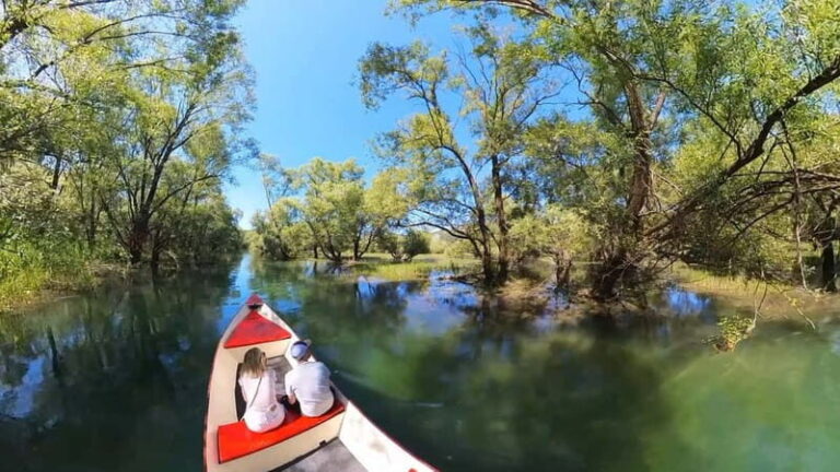 Virpazar: Amazon wilderness speed boat cruise - What Makes This Tour Stand Out?
