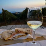 Visit a village by e-bike and taste the excellent wine - Final Thoughts: Who Is This Tour Perfect For?