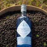 Visit Citadelle Gin Distillery - Why This Tour Is Worth Considering