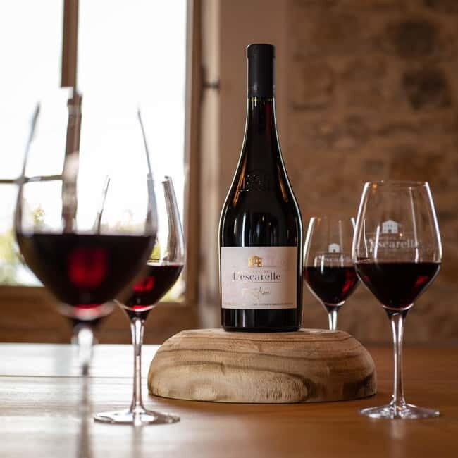 Visit one of the most modern wineries in Provence at L'Escarelle! - Who Should Consider This Tour?