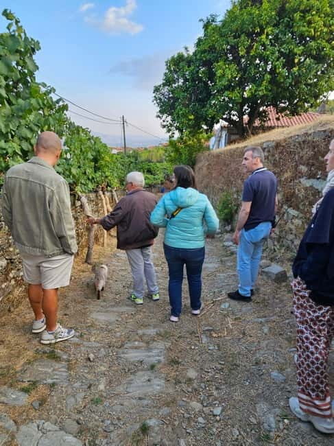 Visit to Quinta de Sobre a Fonte with wine tasting - pet friendly - The Location and Setting