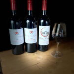 Visit to the property and wine/cheese pairing workshop - An In-Depth Review of the Experience
