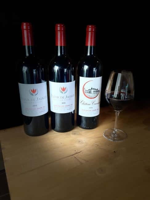 Visit to the property and wine/cheese pairing workshop - An In-Depth Review of the Experience