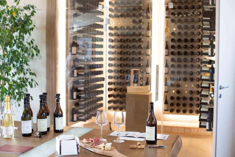 Visita guidata e Degustazione vini Monforte d'Alba - The Wines and Tasting Experience
