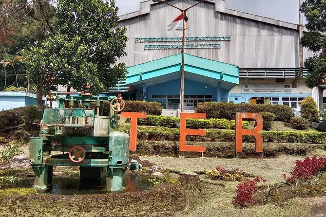 Volcano, Rice Field, Local Coffee, Tea factory, & Hot Spring Tour - An Honest Look at the Itinerary