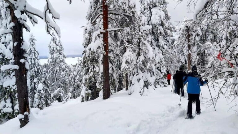 Vuokatti: Snowshoeing Adventure in the Forest - Why This Snowshoe Tour Stands Out