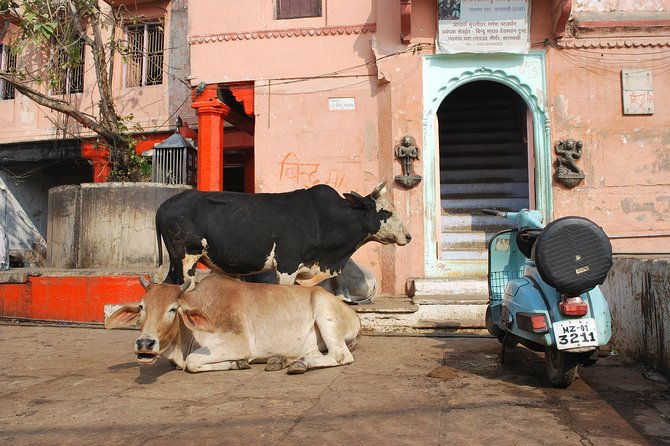 Walking Tour - Introduction: Exploring Varanasi on Foot