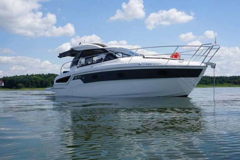 Waren (Müritz): Day cruise motor yacht with skipper - 8 hours - A closer look at the experience