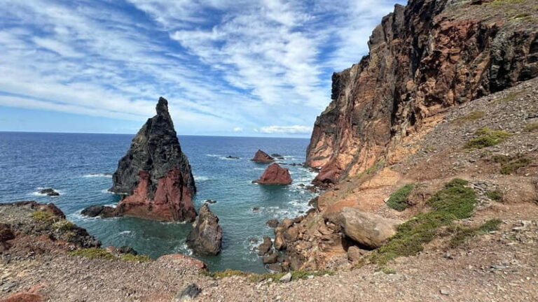 West of Madeira: Guided Tour with Fanal Forest - The Enchanting Fanal Forest and Surroundings