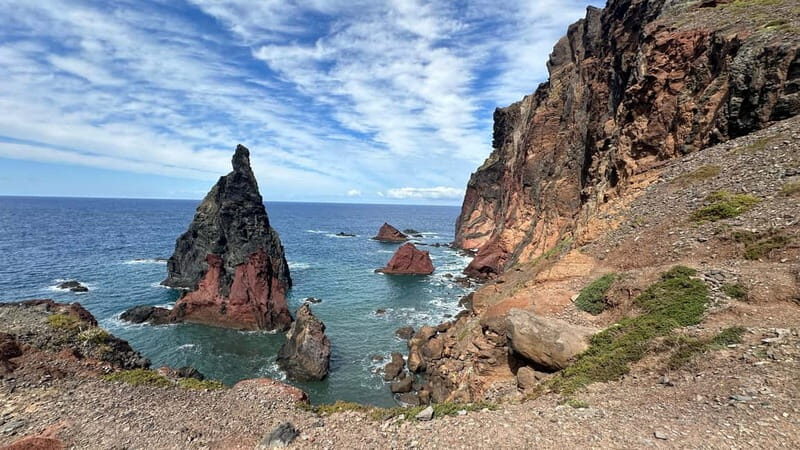 West of Madeira: Guided Tour with Fanal Forest - The Enchanting Fanal Forest and Surroundings