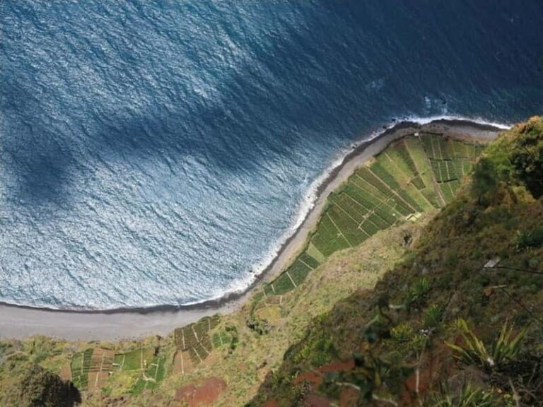 Western Madeira: Private Island Tour - Authentic Experiences and Honest Insights from Past Travelers