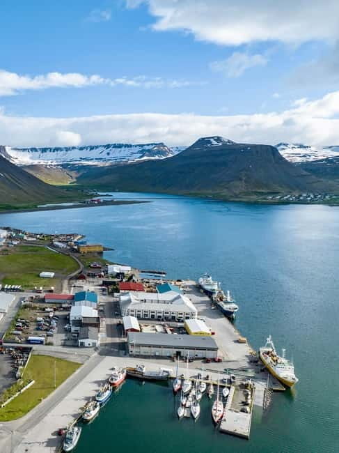 Westfjords Express Half-Day Tour from Ísafjörður - What’s Included and What to Expect
