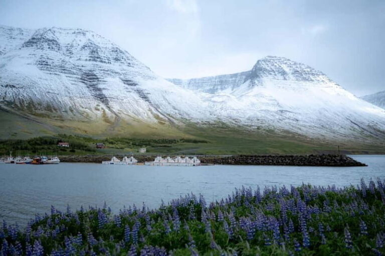 Westfjords Express Tour of Fishing Villages from Ísafjörður - Transportation and Group Size
