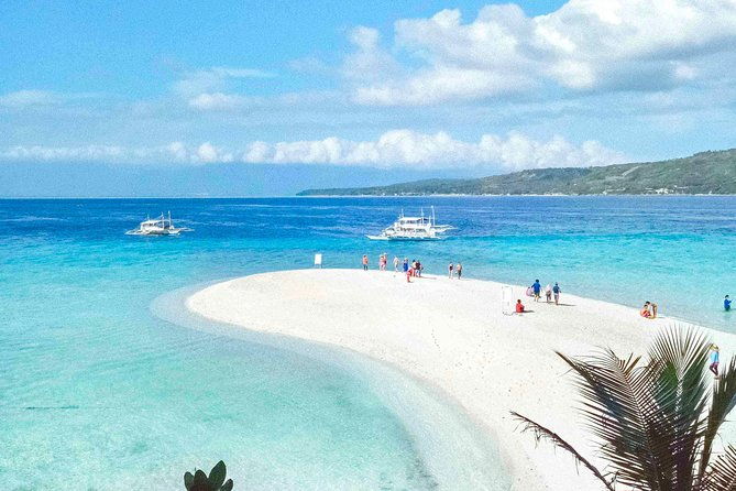 Whale Shark Watching with Sumilon Sandbar and Kawasan Falls Tour - Discovering Cebu’s Natural Highlights in One Day