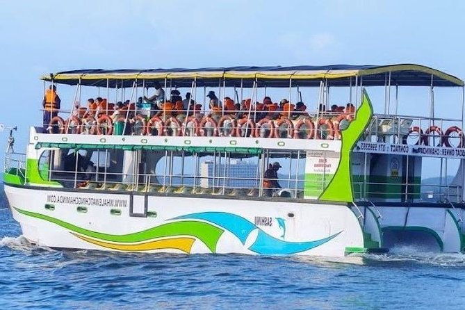 Whales and Dolphins Watching-Luxury Super Grade Cruiser(Hotel Pick up offered) - Whales and Dolphins Watching — Luxury Super Grade Cruiser (Hotel Pickup Offered)