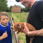 Wicklow: Greenan Farm, Museums & Maze with Animal Feeding - Analyzing the Value of the Experience