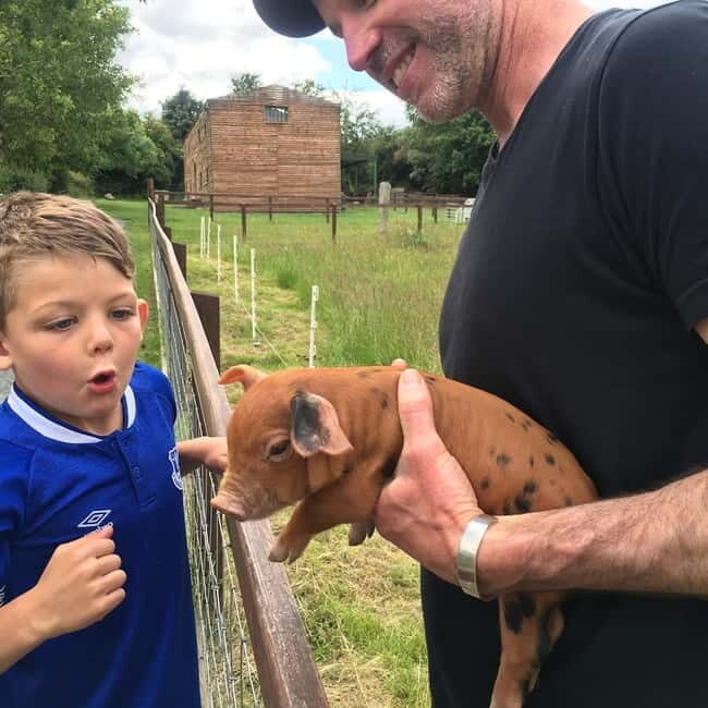 Wicklow: Greenan Farm, Museums & Maze with Animal Feeding - Analyzing the Value of the Experience