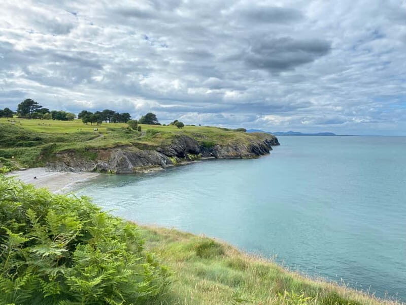 Wicklow: Guided Cliff Walk with Seals and Town Tour w/Picnic - The Value of This Tour