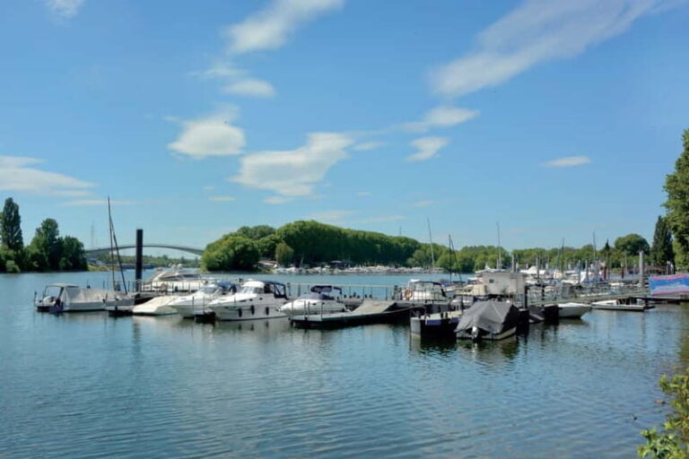 Wiesbaden: Schierstein Weekly Market & Harbor Tour - Practical Details and What to Expect