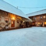 Wihr-au-Val : Wine Tasting and Cellar Tour - Who Will Love This Tour?