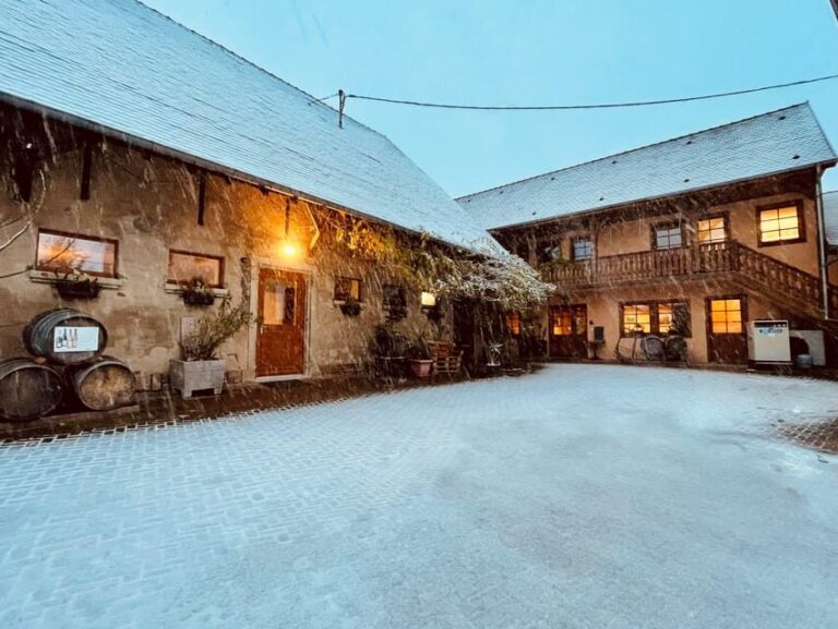 Wihr-au-Val : Wine Tasting and Cellar Tour - Who Will Love This Tour?