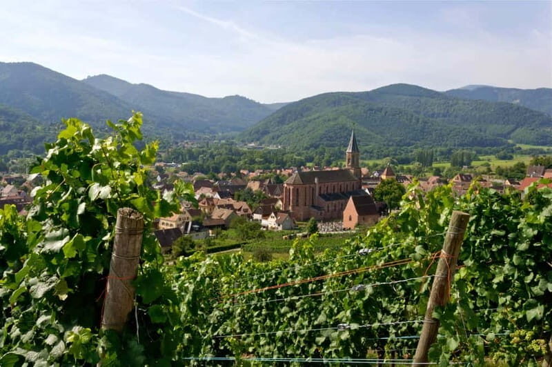 Wihr-au-Val: Wine Tasting in Alsace