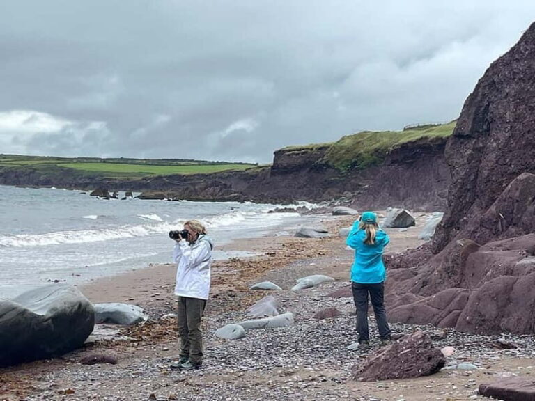 Wild Atlantic Way: Fully Guided Photo Tour - An In-Depth Look at the Tour Experience