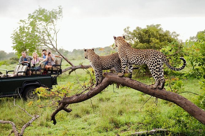 Wild Wonders Of Sri Lanka | 7 Days - Exploring Sri Lanka’s Wild Side: A 7-Day Tour That Packs a Punch