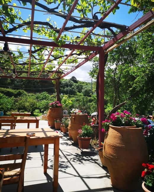 Wine, Dine & Divine: A Cretan Odyssey in Chania - The Value of the Experience