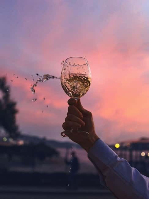 Wine Tasting and Gourmet Lunch in Mallorca Private Tour - The Journey Begins in Palma