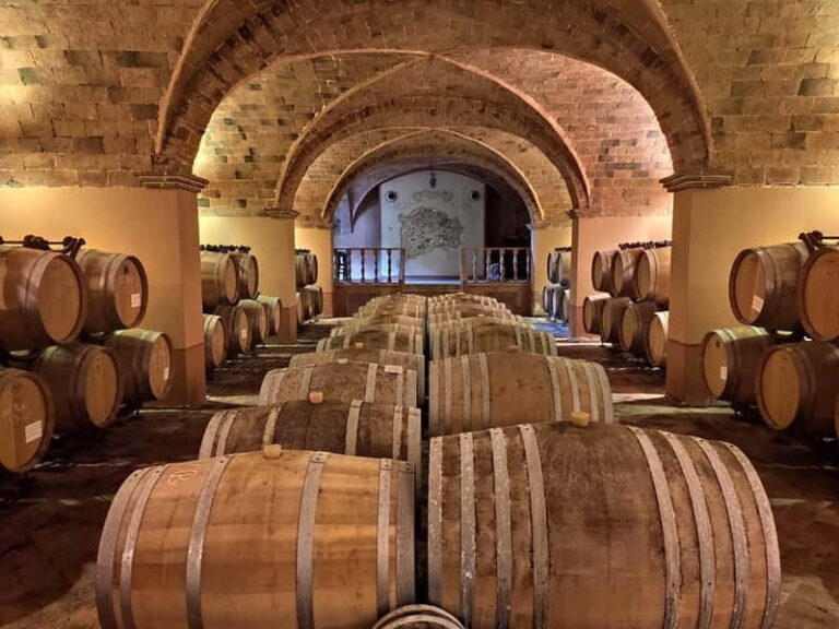 Wine tasting in a romantic castle with archaeologist guide - A Closer Look at the Experience