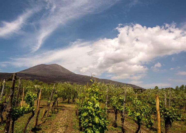 Wine Tasting on Mt. Vesuvius - An Overview of the Experience