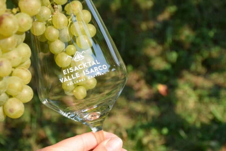 Wine Tasting Tour: Journey to South Tyrols Finest Wines - What Makes This Tour Special?