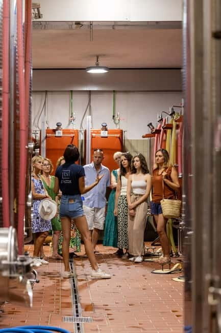 Wine tasting tour - Le Pradet - The Practicalities & Extras