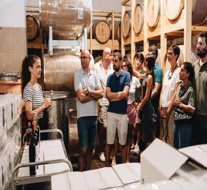 Wine tasting tour, Optional wine yard tour and kayak rides - Who Should Consider This Tour?