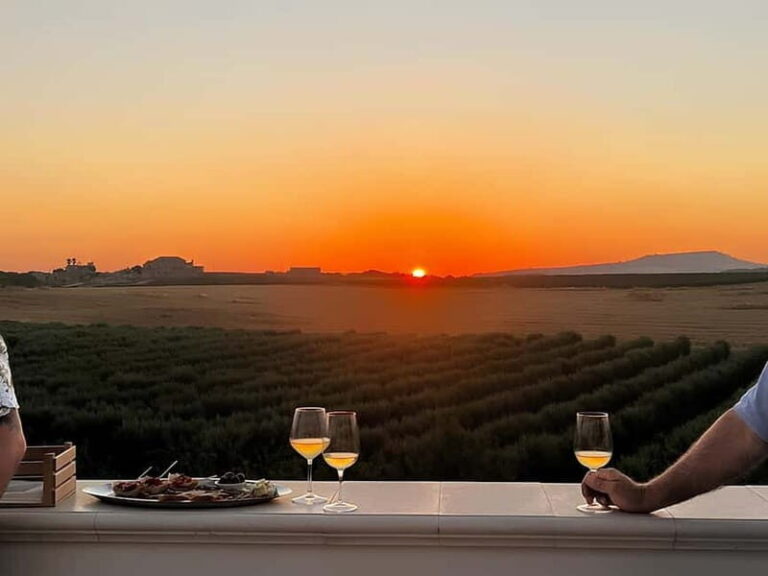Wine tasting under the Stars in the vineyards of Agrigento - The Experience in Detail