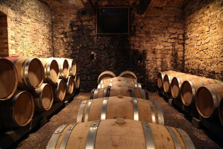 Wine Tasting & Vineyards Escape near Tirana - An In-Depth Look at the Tour Experience