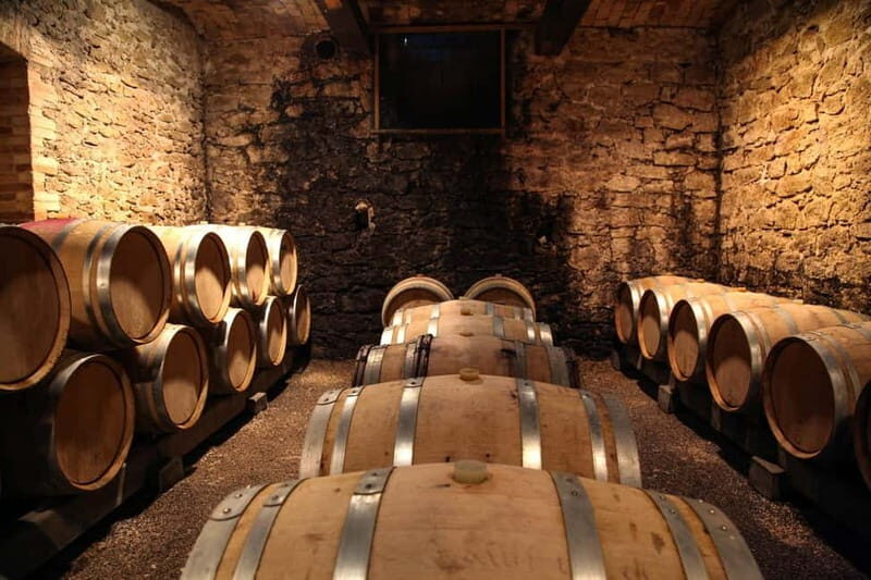 Wine Tasting & Vineyards Escape near Tirana - An In-Depth Look at the Tour Experience