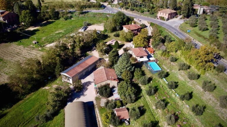 Wine Tasting with Local Food near Montepulciano - Who This Tour Is Best For