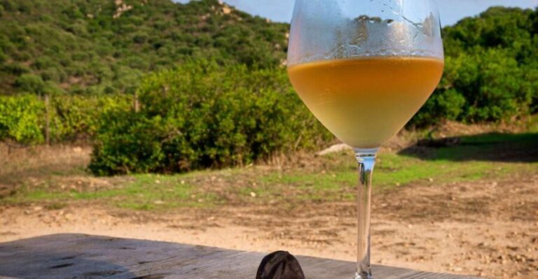 Wine tour and lunch or dinner at our vineyard - The Itinerary: A Well-Rounded Day in Sardinia’s Countryside