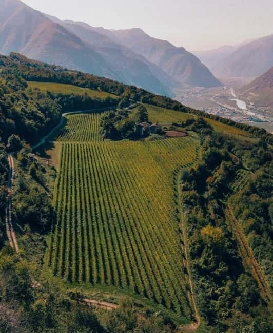 Wine tour at Borgo dei Posseri: wine, nature, and authenticity - An in-depth look at the experience