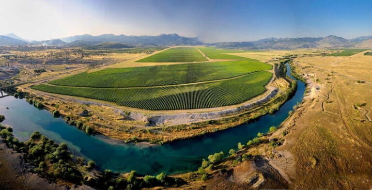 WINE TOUR: Recommended for hedonists! - Analyzing the Value