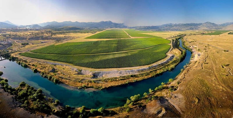 WINE TOUR: Recommended for hedonists! - Analyzing the Value